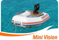 Mini Vision
